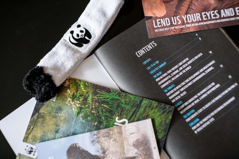 WWF Campaign